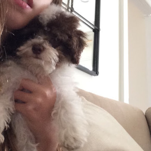 Meet your Posher, Lila - Picture 1 of 1